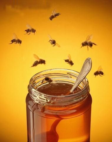 les vertus du miel