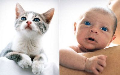 bébé avec chat