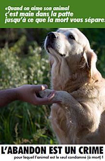 non a l'abondon d'animaux