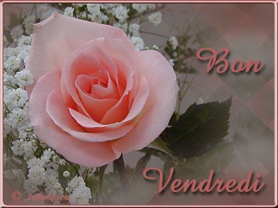 BON VENDREDI