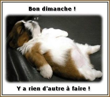 bon dimanche