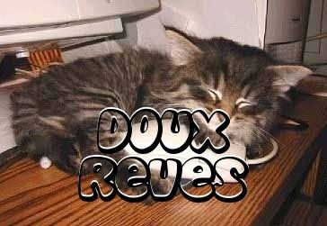 doux reves