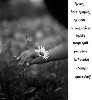 citation