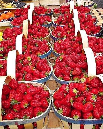 les bienfaits de la fraise