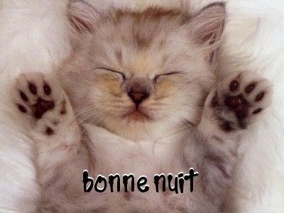 bonne nuit 