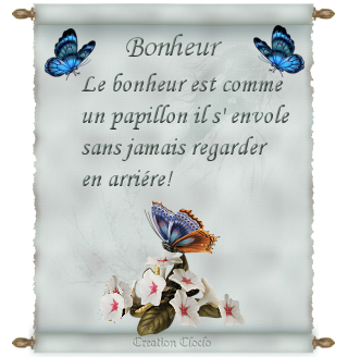 citation 