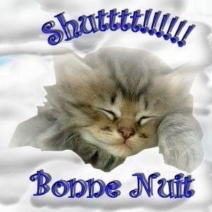 bonne nuit