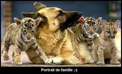 portrait de famille