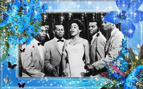 The platters