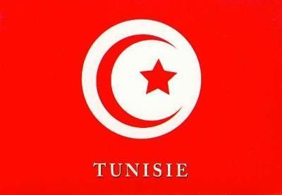 drapeaux de la Tunisie