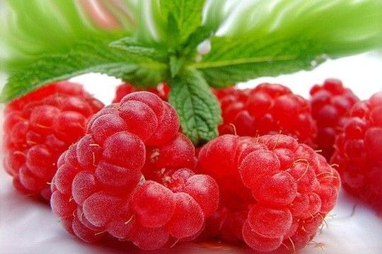 clipart fruits rouges - photo #39