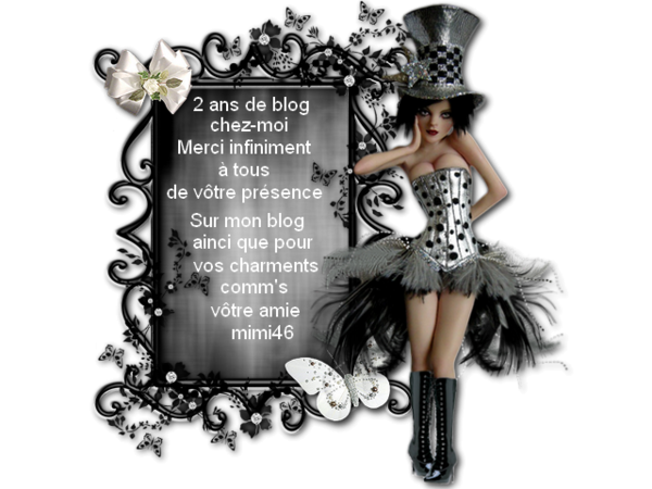 Bravo Mimi46 pour tes 2 ans de blog