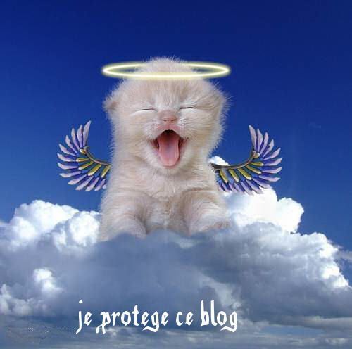 je protege ce blog