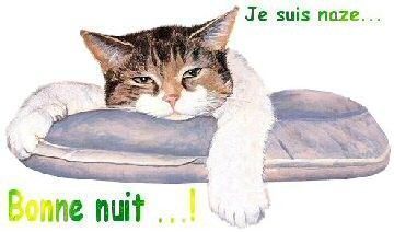 BONNE ET DOUCE NUIT