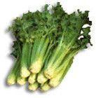 les vertus du celerie