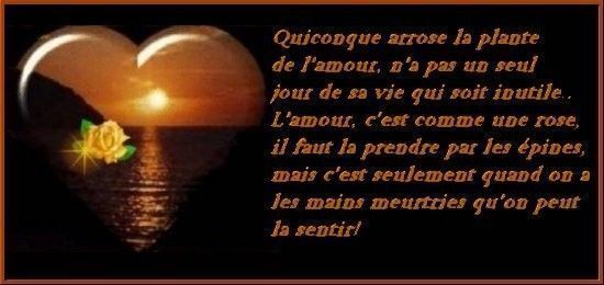 citation